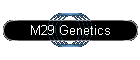 M29 Genetics