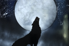 Wolf Howling at the moon Spray Paint Art
