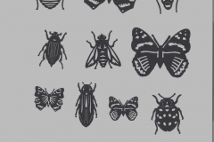 BugCollection